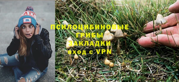 МДПВ Абдулино