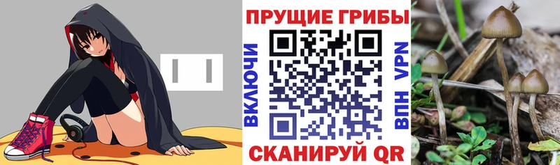 Галлюциногенные грибы Magic Shrooms Кашира