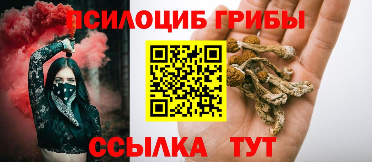 Кашира  Галлюциногенные грибы Psilocybe  Вход с VPN 